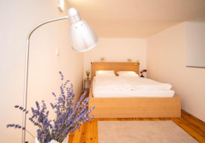 Free parking! Linden apartment, AC, Smart TV, WIFI